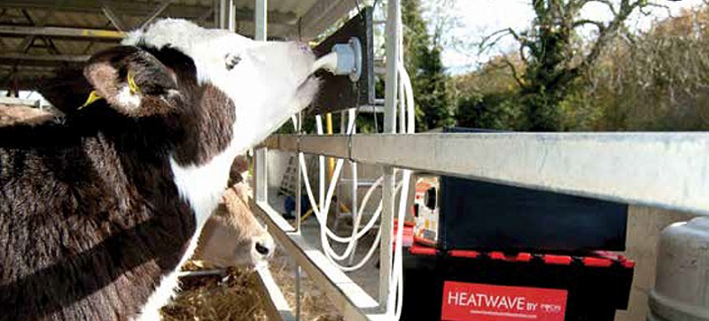 Why are calves different to babies? - Encouraging discussion on ad-lib feeding in a New Zealand “Dairy Focus” journal.