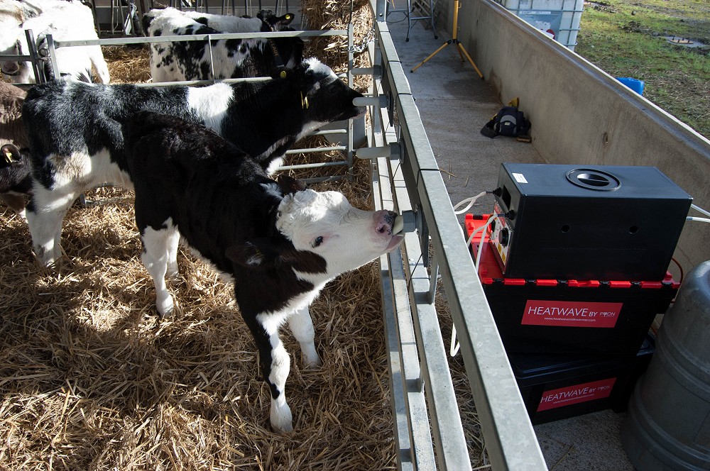 Ad-Lib Milk Warming System Could Help Meet New Calf Rearing Rules